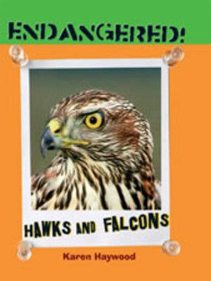 cover image of Hawks and Falcons